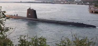 活化石爆料视频,探寻古老生命的现代传奇